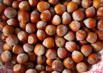 close up of hazelnuts,food background