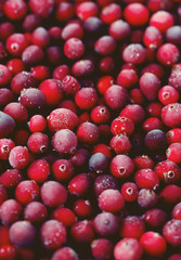 Frozen cranberries background, healthy berries