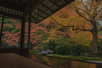 京都　瑠璃光院　お寺　紅葉　秋　写真素材　季節　