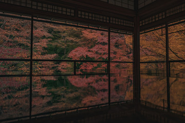 京都　瑠璃光院　お寺　紅葉　秋　写真素材　季節　