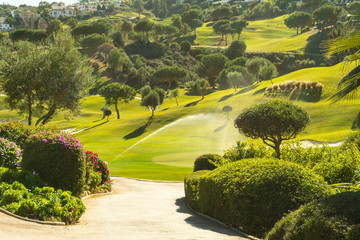 Campo de gol regándose  © Bion