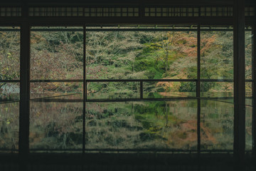 京都　瑠璃光院　お寺　紅葉　秋　写真素材　季節　