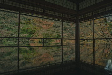 京都　瑠璃光院　お寺　紅葉　秋　写真素材　季節　