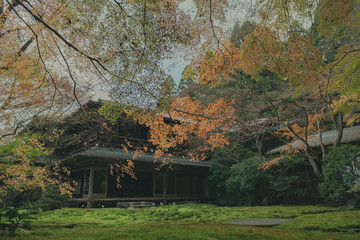 京都　瑠璃光院　お寺　紅葉　秋　写真素材　季節　