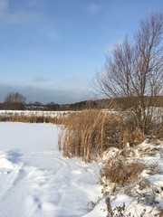 winter landscape with river and trees
