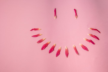 pink flower on a pink background. female health concept. A reference to tenderness, care and kindness. Smiley.