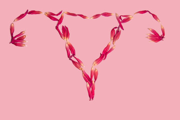 pink flower on a pink background. female health concept. A reference to tenderness, care and kindness.