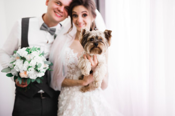Romantic wedding moment, couple of newlyweds smiling portrait, bride and groom with a dog