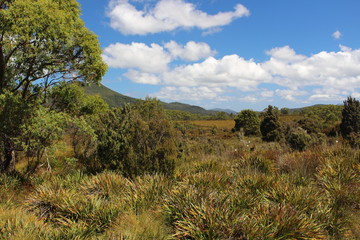 Landschaft Tasmanien