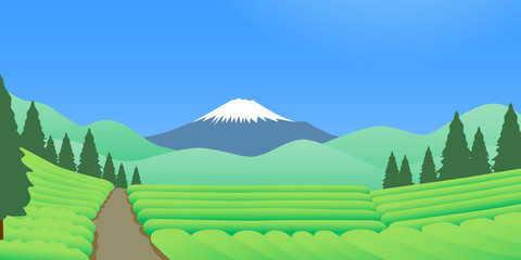 晴天の富士山を望む新茶の頃の茶畑 - obrazy, fototapety, plakaty