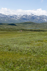 Fototapeta na wymiar Landschaft am Rand des Jotunheimen-Gebirges in Norwegen