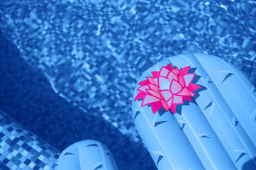 Colorful inflated cactus floating in a refreshing blue swimming pool
