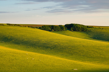 Fototapeta na wymiar The rolling hills of the South Downs, Sussex, England