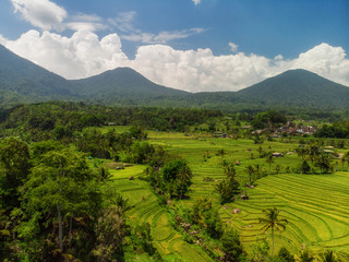 View of Jatiluwih rice terrace, Bali