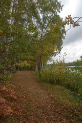 autumn city. autumn forest, sky, clouds, forest