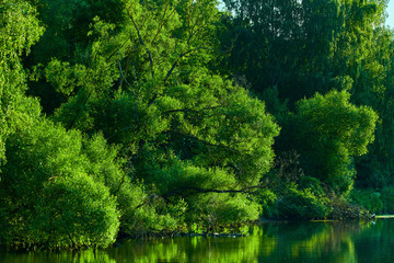 Peaceful rural summer european landscape with green trees and water