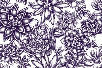 Artistic seamless pattern with succulent echeveria, succulent echeveria, succulent