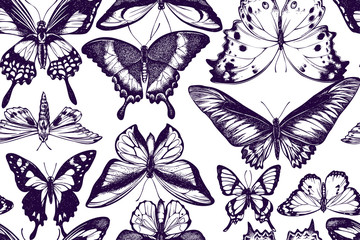 Artistic seamless pattern with ornithoptera croesus lydius, graphium weiskei, ambulyx pryeri, salamis parhassus, chorinea octauius, papilio palinurus, stichophthalma howqua, danaus chrysippus