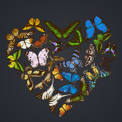 Heart design on dark background with morpho menelaus, graphium androcles, morpho rhetenor cacica, papilio demoleus, cethosia biblis, papilio antimachus, alcides agathyrsus, ornithoptera priamus