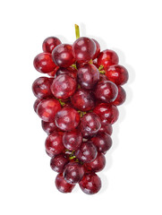 red grape with water drop isolated clipping path