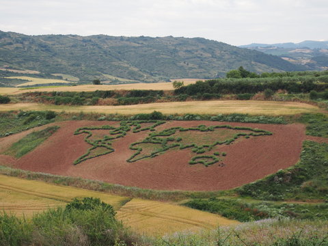 World map in grass on the road to Santiago de Compostela, El Camino de Santiago, Journey from Puenta la Reina to Estella, French way, Spain