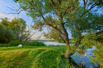Fototapeta na wymiar Peaceful rural summer european landscape with green trees and water