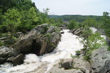 stormy river in the mountains among the green forest