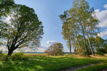 Obraz premium Peaceful rural summer european landscape with green trees and water
