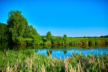 Peaceful rural summer european landscape with green trees and water