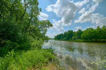 Fototapeta na wymiar Peaceful rural summer european landscape with green trees and water