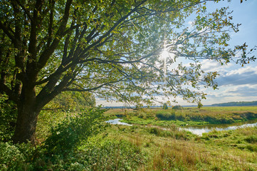 Peaceful rural summer european landscape with green trees and water