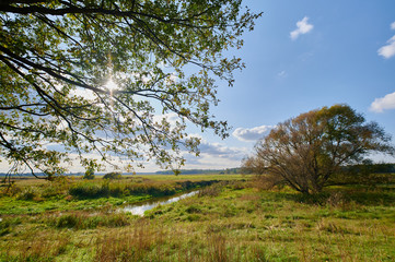 Obraz premium Peaceful rural summer european landscape with green trees and water