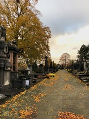autumn in the cemetery