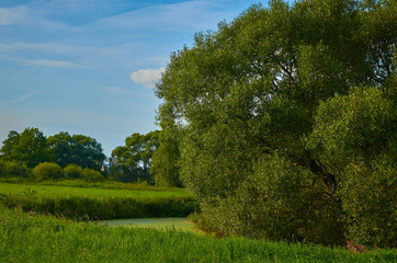 Peaceful rural summer european landscape with green trees and water