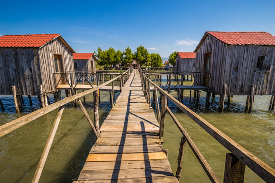 Lagoon of Patok - Nature Reserve, Albania