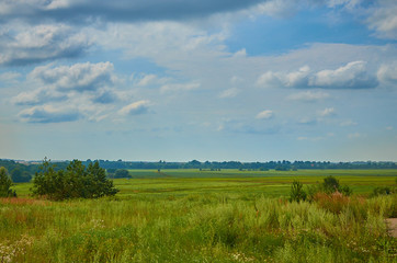 Peaceful rural summer european landscape with green trees and water