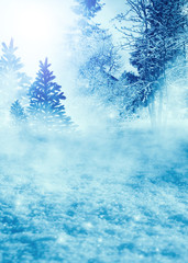 Winter background. Snow-covered winter forest, snowdrifts, fog