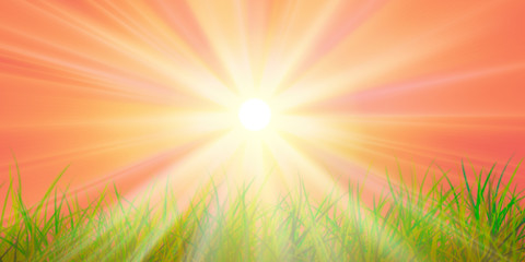 spring sun rays green grass pink red sky. spring landscape illustration