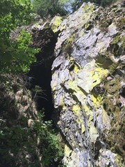 Forêt noire