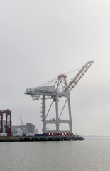 Fototapeta premium Grus e a neblina marítima encobrindo a paisagem de Puerto Madero , Buenos Aires, Argentina 
