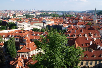 Obraz premium Prague city view from a tall building