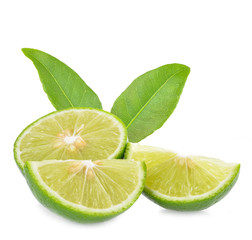 lime green isolated on white background