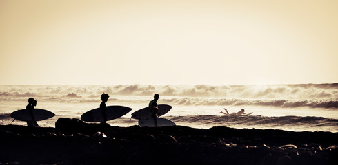 silhouette of four surfers entering at the water with surfboards and wetsuits - surfing at the...