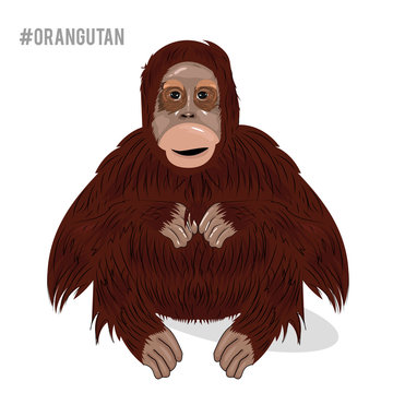 Cartoon illustration orangutan isolated on white background