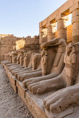 alley of the sphinxes in Karnak temple in Luxor Egypt