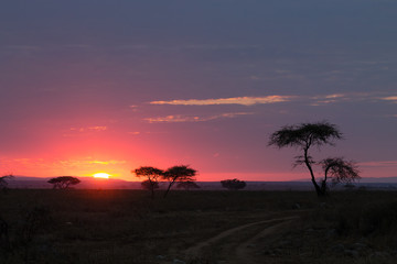 Naklejka na ściany i meble Dawn at Serengeti National Park, Tanzania, Africa