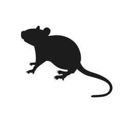 Rat icon. Simple vector illustration