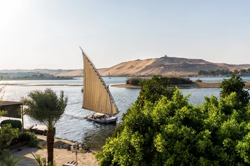 Foto op Plexiglas Feluccas boat sailing in nile river in luxor egypt  © Blogtrip
