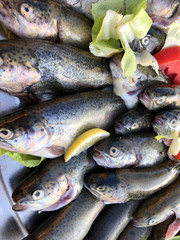 Raw fish background. Group of raw trout in the market. Vertical, top view, close-up. The concept of fishing and healthy eating.