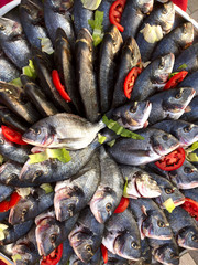 Raw fish background. Group of raw trout in the market. Vertical, top view, close-up. The concept of fishing and healthy eating.
